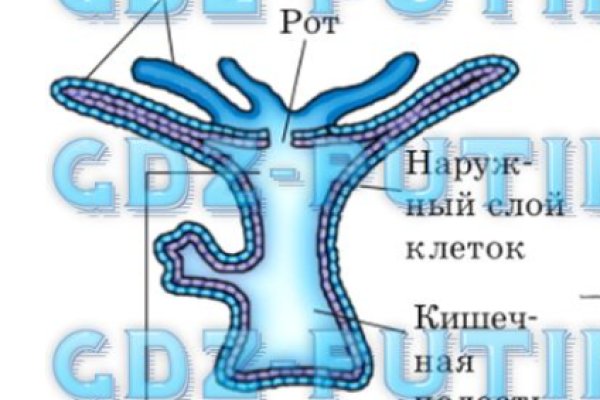 Как положить деньги на кракен