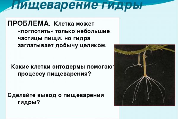 Кракен зеркало рабочее на сегодня krakenat2krnkrnk com