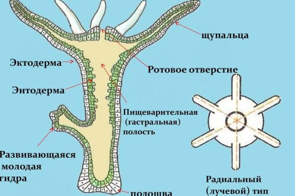 Kraken onion вход